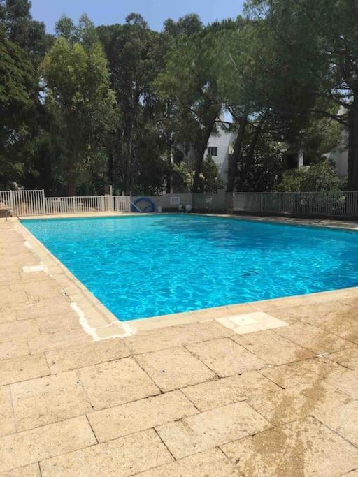 Le Dyonisos Et Piscine Apartment La Seyne-sur-Mer Luaran gambar